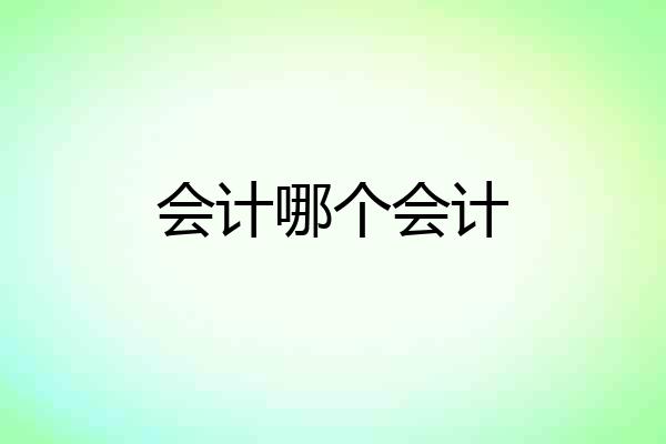 会计哪个会计