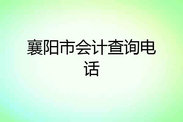 襄阳市会计查询电话