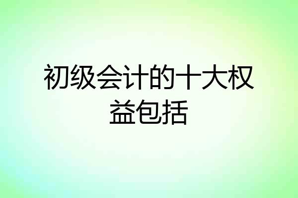 初级会计的十大权益包括