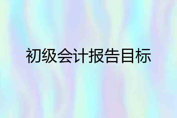 初级会计报告目标
