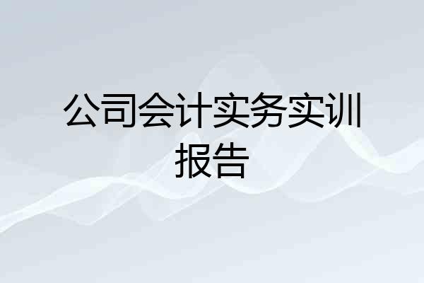 公司会计实务实训报告