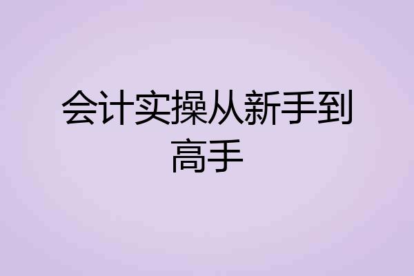 会计实操从新手到高手