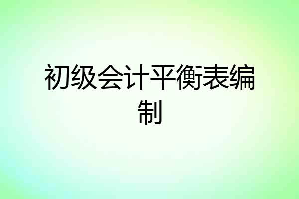 初级会计平衡表编制