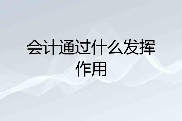 会计通过什么发挥作用