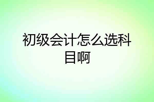 初级会计怎么选科目啊