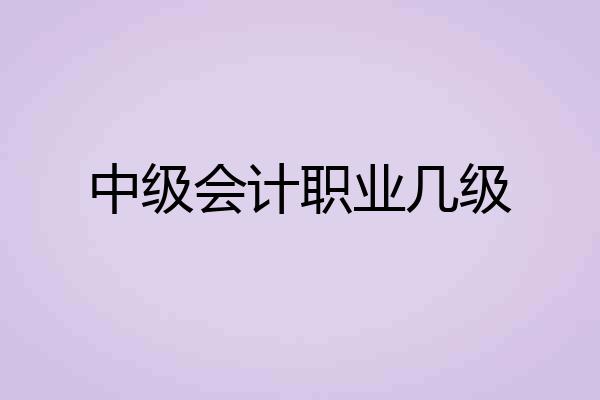 中级会计职业几级