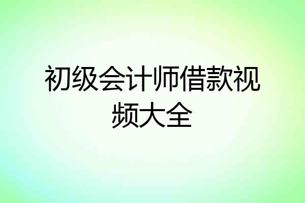 初级会计师借款视频大全