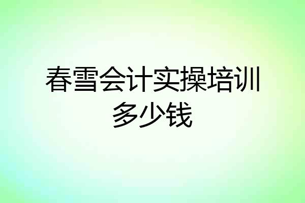 春雪会计实操培训多少钱