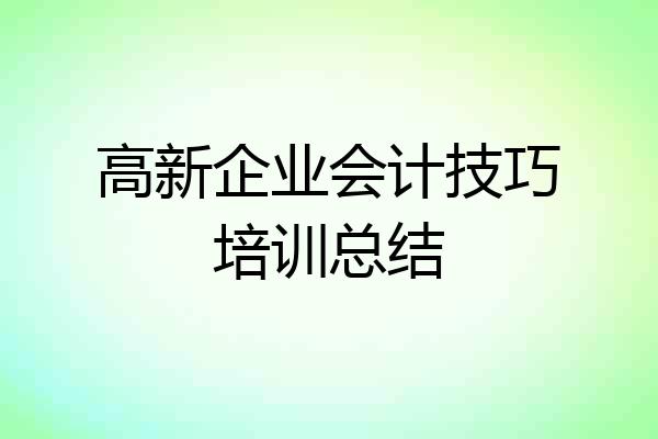 高新企业会计技巧培训总结