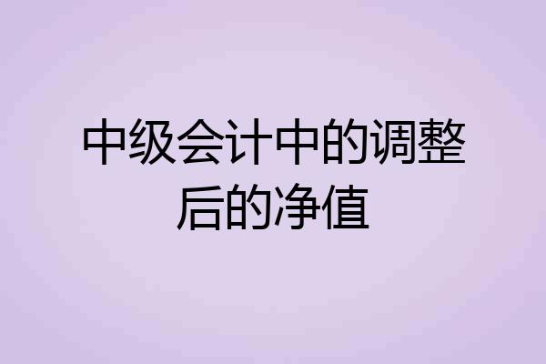 中级会计中的调整后的净值