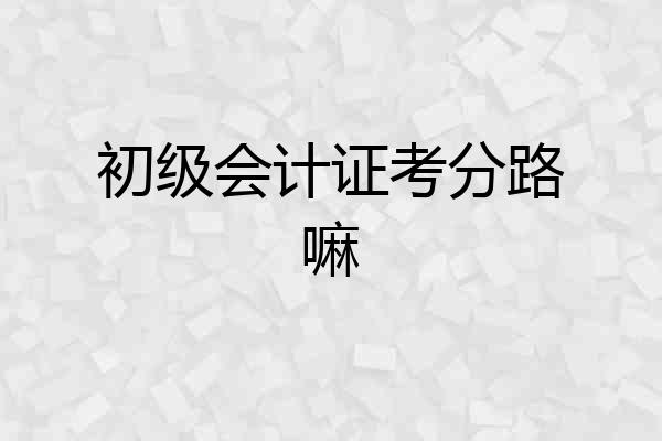 初级会计证考分路嘛