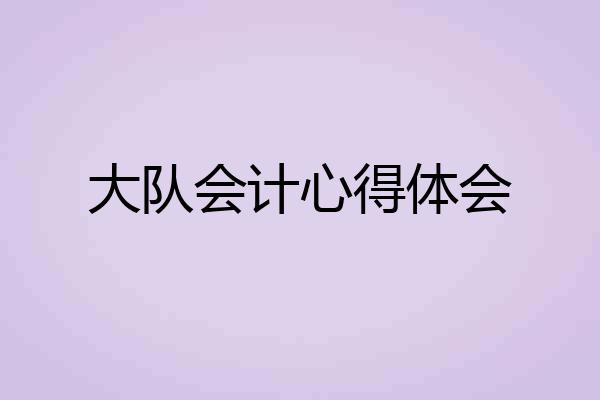 大队会计心得体会