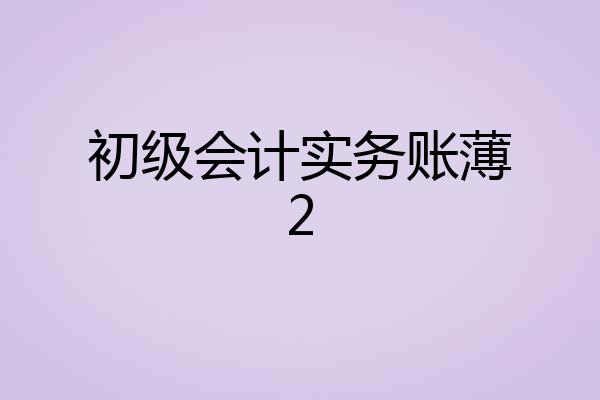 初级会计实务账薄2