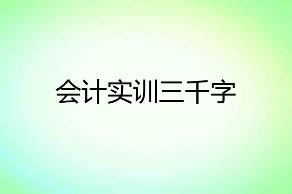 会计实训三千字