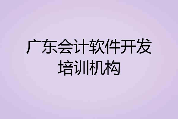广东会计软件开发培训机构