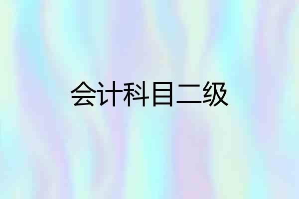 会计科目二级