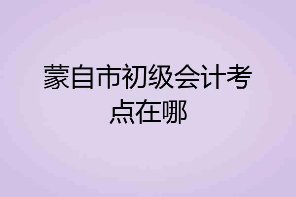 蒙自市初级会计考点在哪