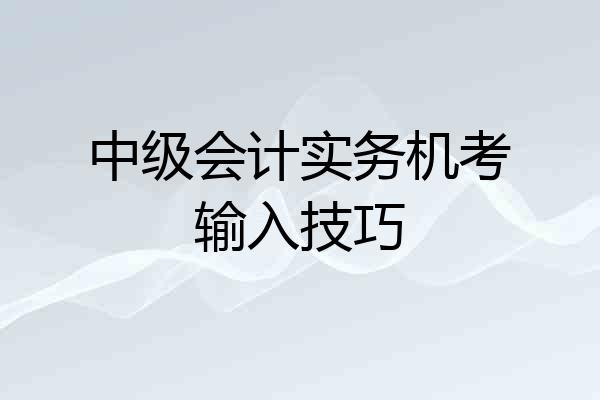 中级会计实务机考输入技巧