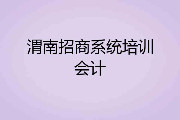 渭南招商系统培训会计