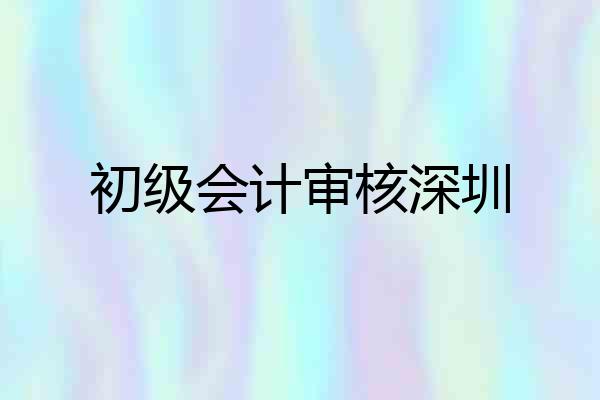 初级会计审核深圳