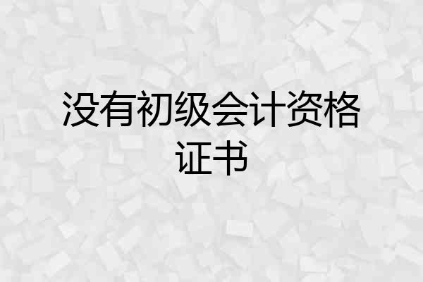 没有初级会计资格证书
