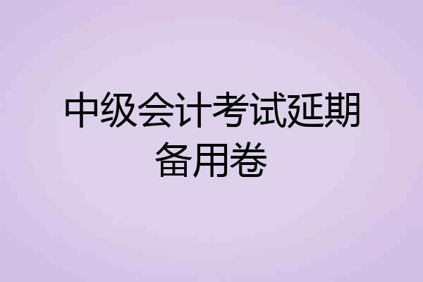 中级会计考试延期备用卷
