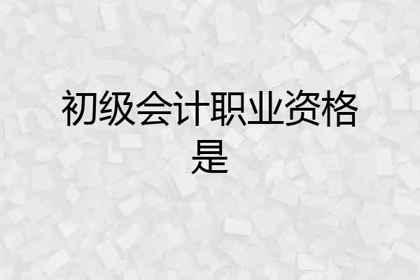 初级会计职业资格是