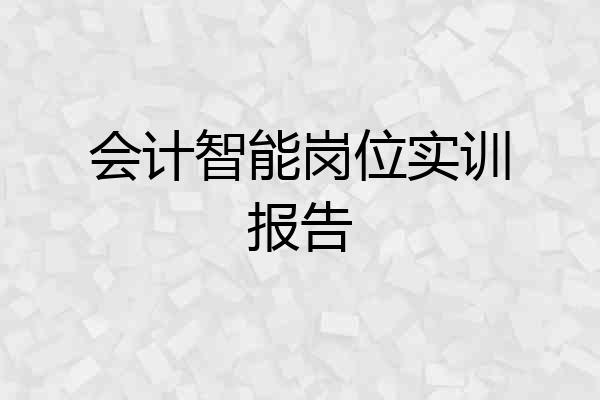 会计智能岗位实训报告