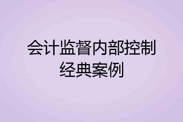 会计监督内部控制经典案例