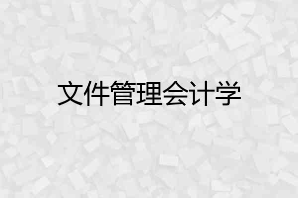 文件管理会计学