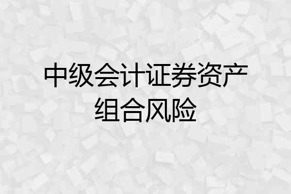 中级会计证券资产组合风险