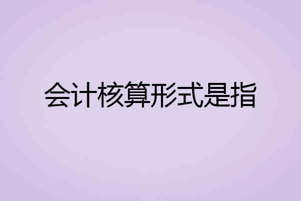 会计核算形式是指