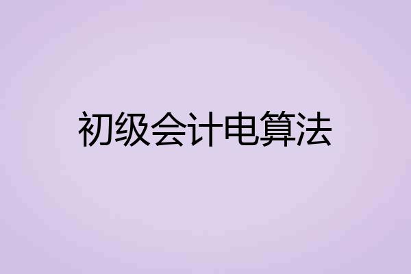 初级会计电算法