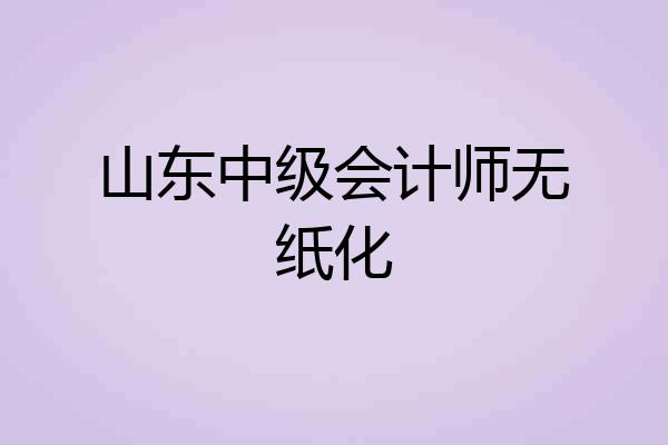 山东中级会计师无纸化