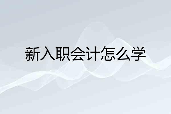 新入职会计怎么学