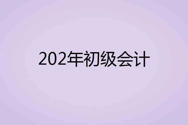 202年初级会计