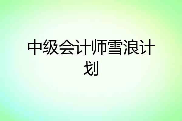 中级会计师雪浪计划