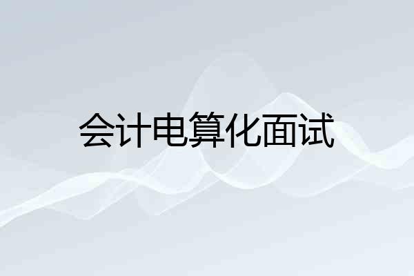 会计电算化面试