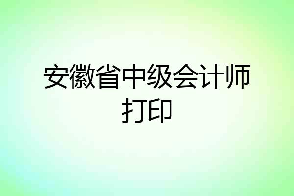 安徽省中级会计师打印