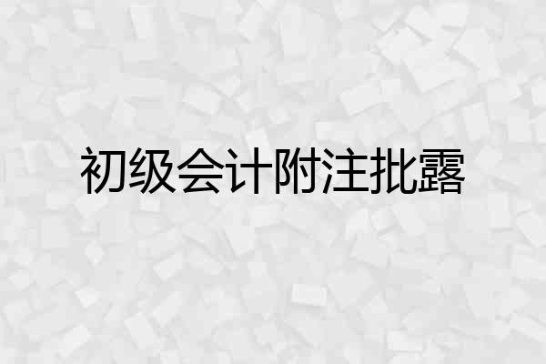 初级会计附注批露