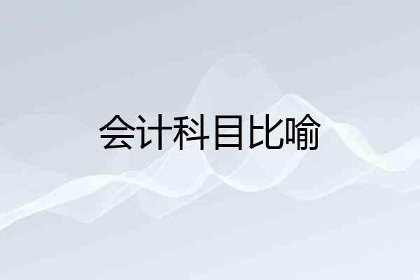 会计科目比喻