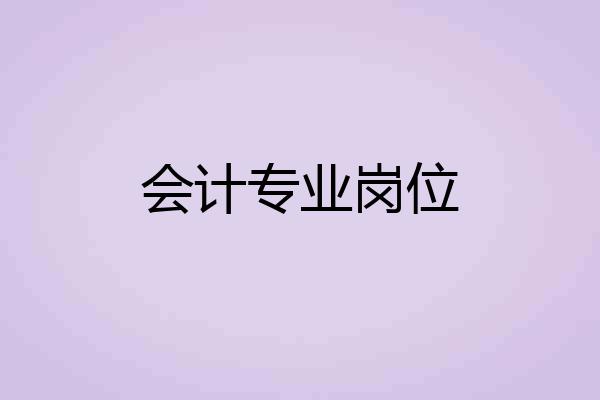 会计专业岗位