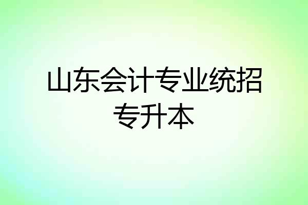 山东会计专业统招专升本