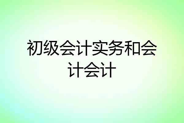 初级会计实务和会计会计