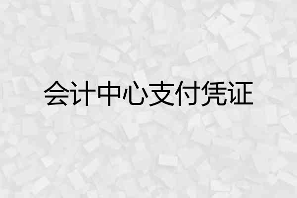 会计中心支付凭证