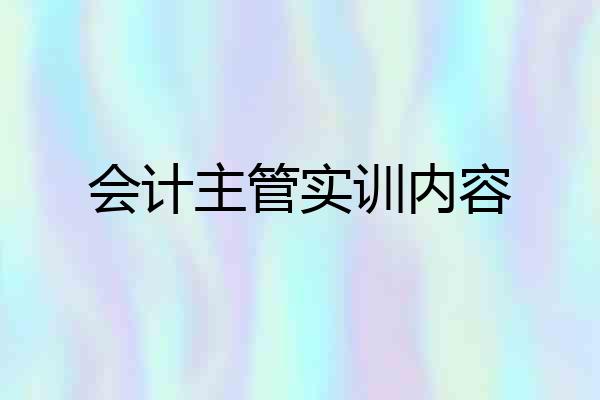 会计主管实训内容