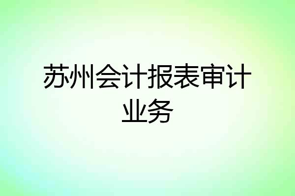 苏州会计报表审计业务