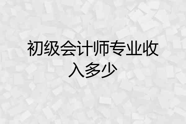 初级会计师专业收入多少