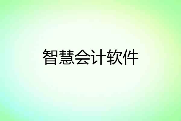 智慧会计软件