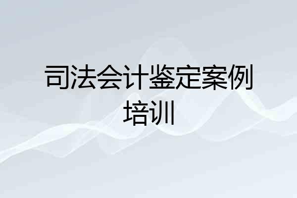 司法会计鉴定案例培训
